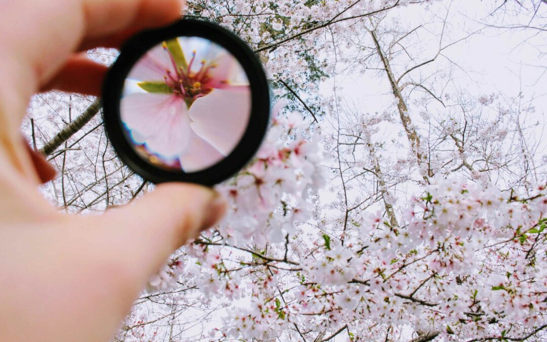 Why Focusing on One Service at a Time Can Boost Your Bookings